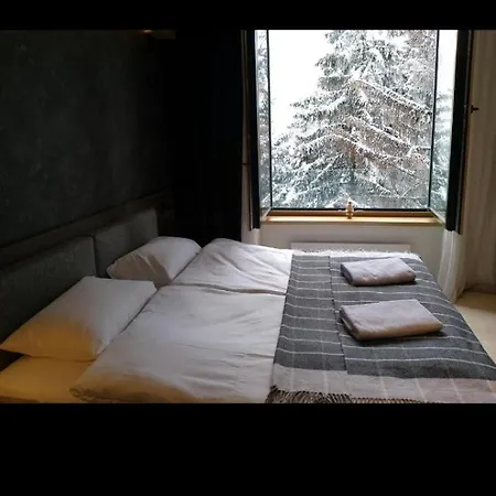 Apartment Woodside Free Parking Kopaonik